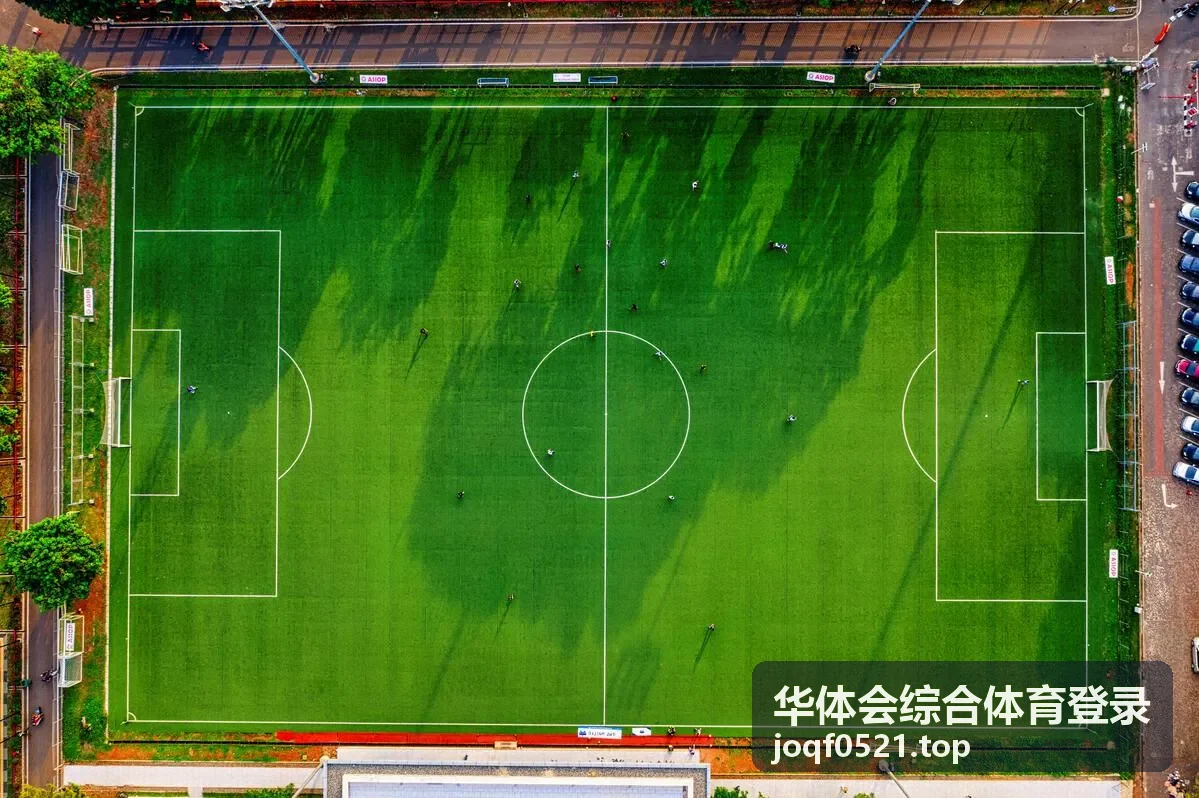 华体会综合体育登录在线协助通道提交配图
