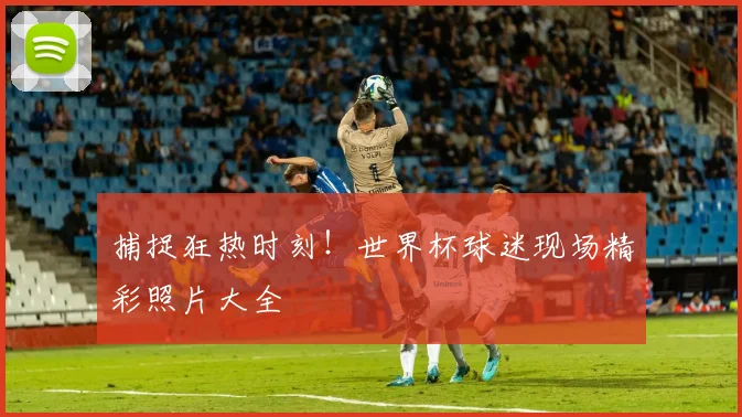 捕捉狂热时刻！世界杯球迷现场精彩照片大全